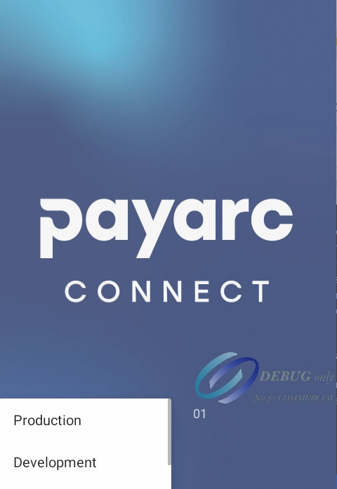 Payarc Connect