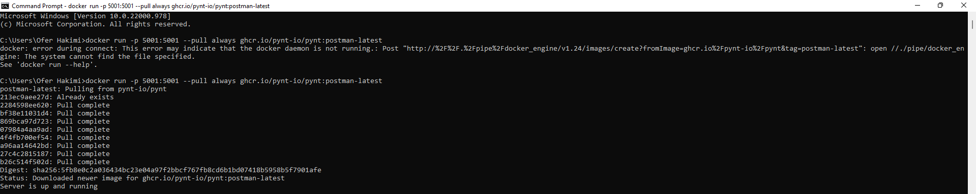 Run%20Pynt%20docker