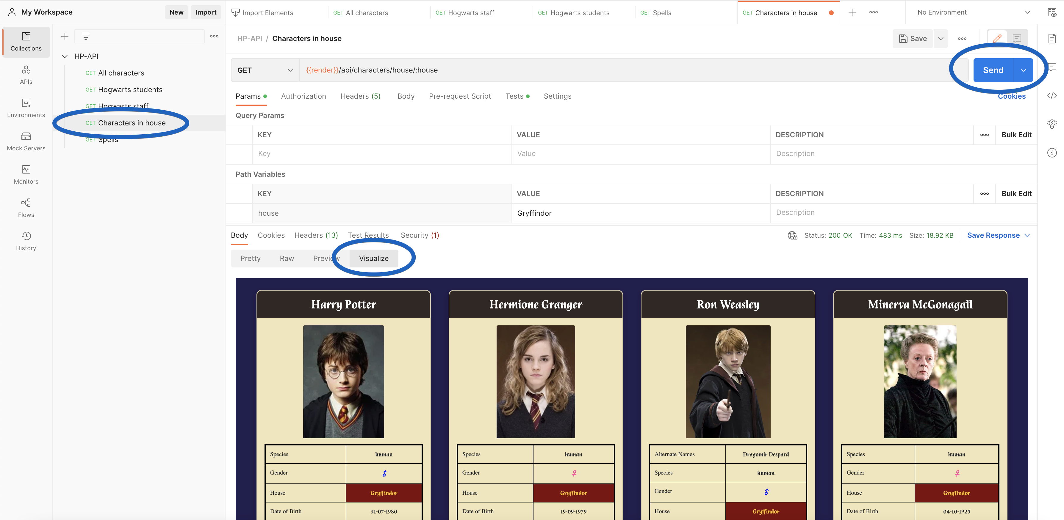 6 harry potter api with magic visualizations documentation