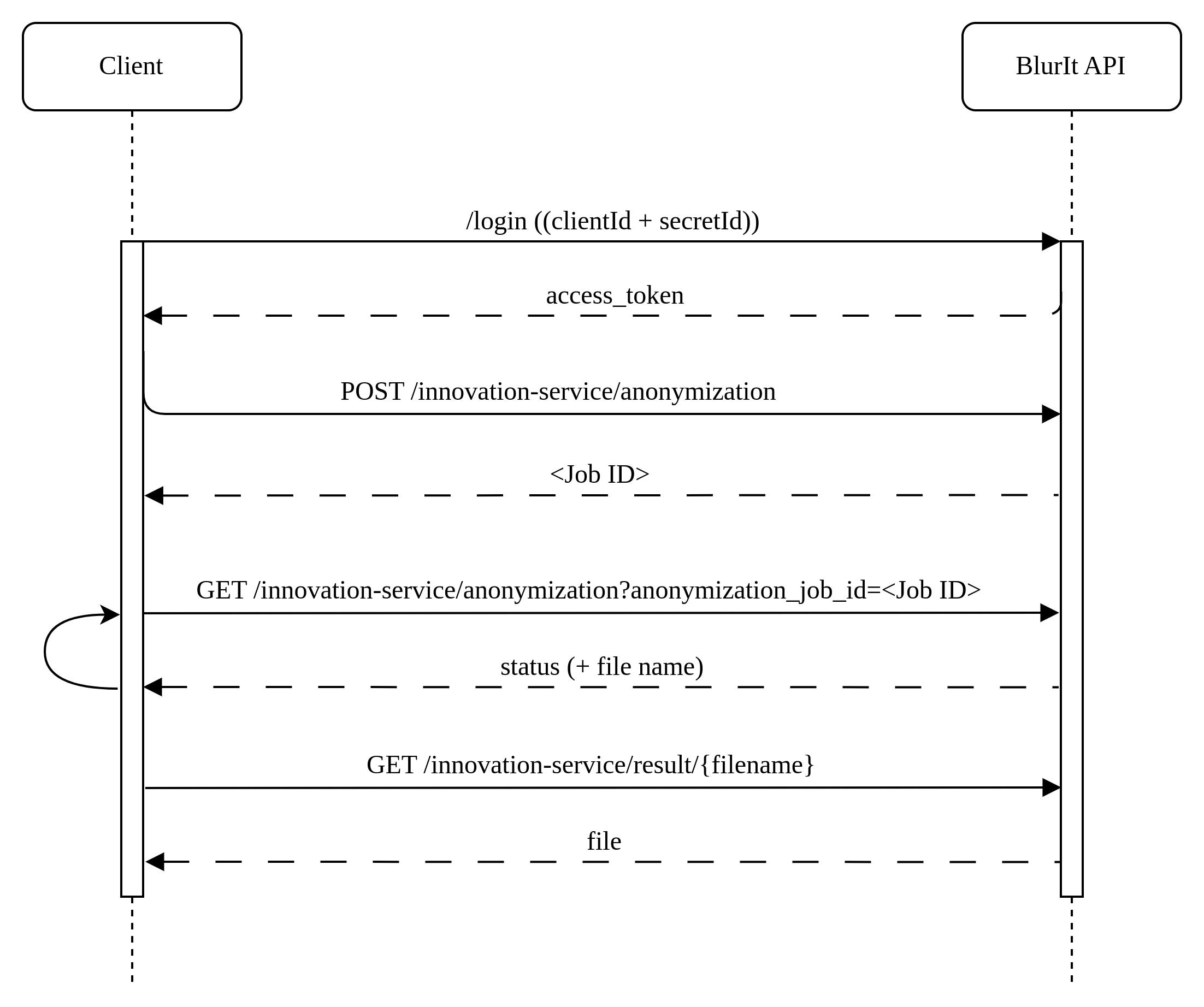 BlurIt Anonymization API